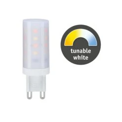 Paulmann Standard 230V LED Stiftsockel 1er-Pack 300lm 4W Tunable White Dimmbar Klar