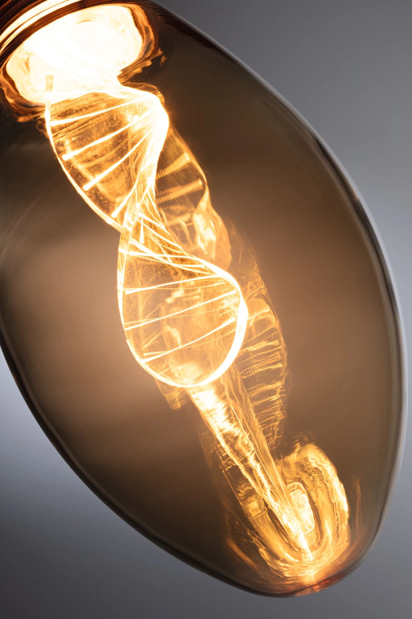 Paulmann Inner Glow Edition LED Birne Helix E27 230V 180lm 3,5W 1800K Gold – Bild 3