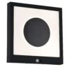 Paulmann Solar LED Panel Taija Bewegungsmelder IP44 3000K 35lm Anthrazit